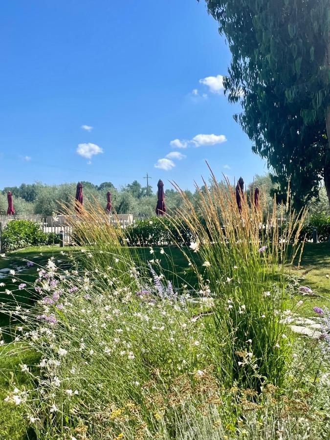 Terravita Winery & Boutique Apartments Suvereto Luaran gambar