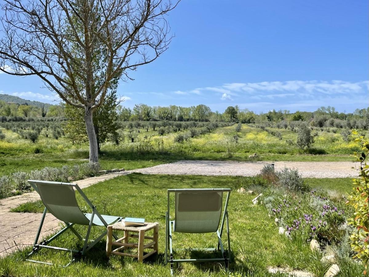 Terravita Winery & Boutique Apartments Suvereto Luaran gambar