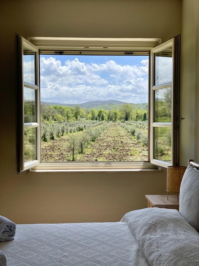 Terravita Winery & Boutique Apartments Suvereto Luaran gambar
